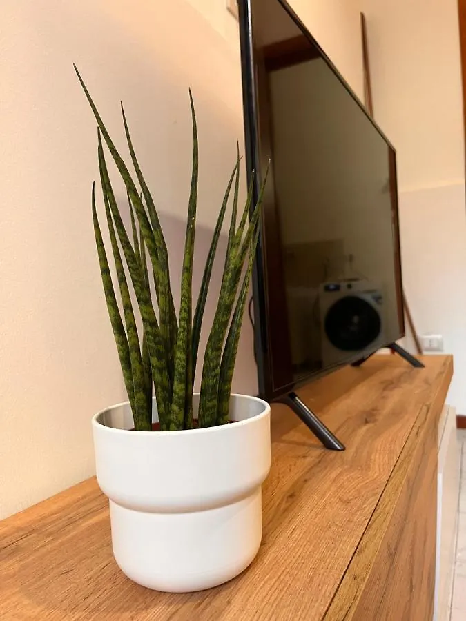 Bianca Lavica Guest-House Apartment Catania